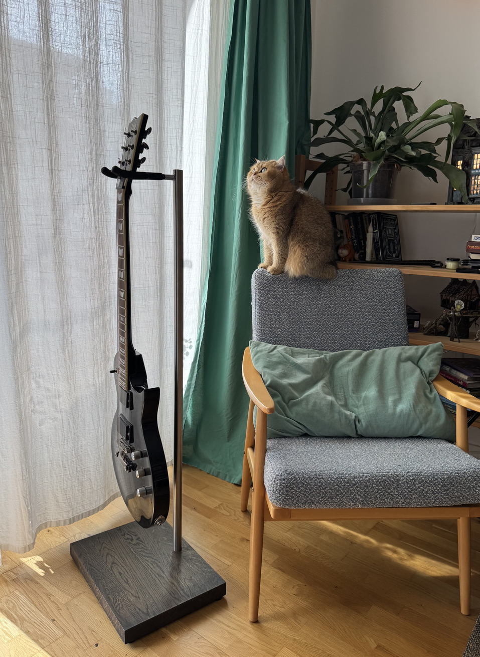 Black electric guitar on a premium solid wood stand beside an armchair with a cat, green curtains and houseplants.